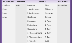 Discover Every Book of the New Testament: A Comprehensive Guide