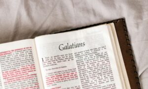 Hidden Gems of the Bible: Verses That Are Rarely Discussed but Deeply Impactful