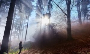 Supernatural Encounters in the Bible: What Do They Teach Us Today?